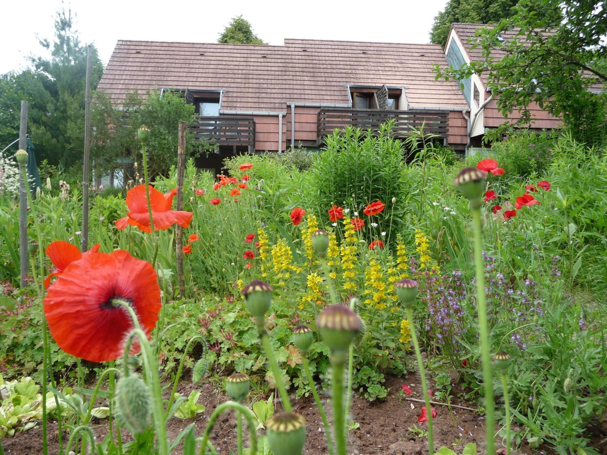 Alsace Village Obersteinbach Exterior photo